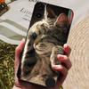 For Nothing CMF Phone 1 Case Luxury Silicone TPU Soft Phone Cover for Nothing CMF Phone 1 Phone1 Shockproof Funda Shell Cute Cat