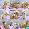 Dog Safety Harness with Leash Set No Pull for Small Dog Training Walking