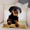 Mini Dachshund Dog throw pillow cover with short plush print for living room decoration cushion cover pillow covers decorative
