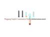 Multifunctional 5-in-1 Automatic Hair Curling & Straightening Hot Air Comb