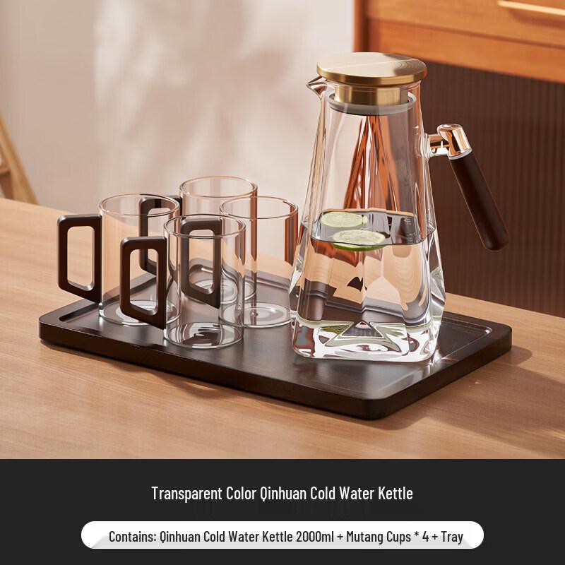 ZISIZ Glass Cold Water Kettle