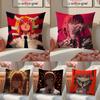 Anime Chainsaw Man Makima-Cartoon Pillow Case Anti-dustmite Pillowcase Invisible Zipper Silky Short Plush Sofa Cushion Cover