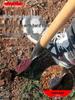 Military Camouflage Pointed Shovel - Manganese Steel Garden Tool for Digging, Soil Loosening, and Tree Planting