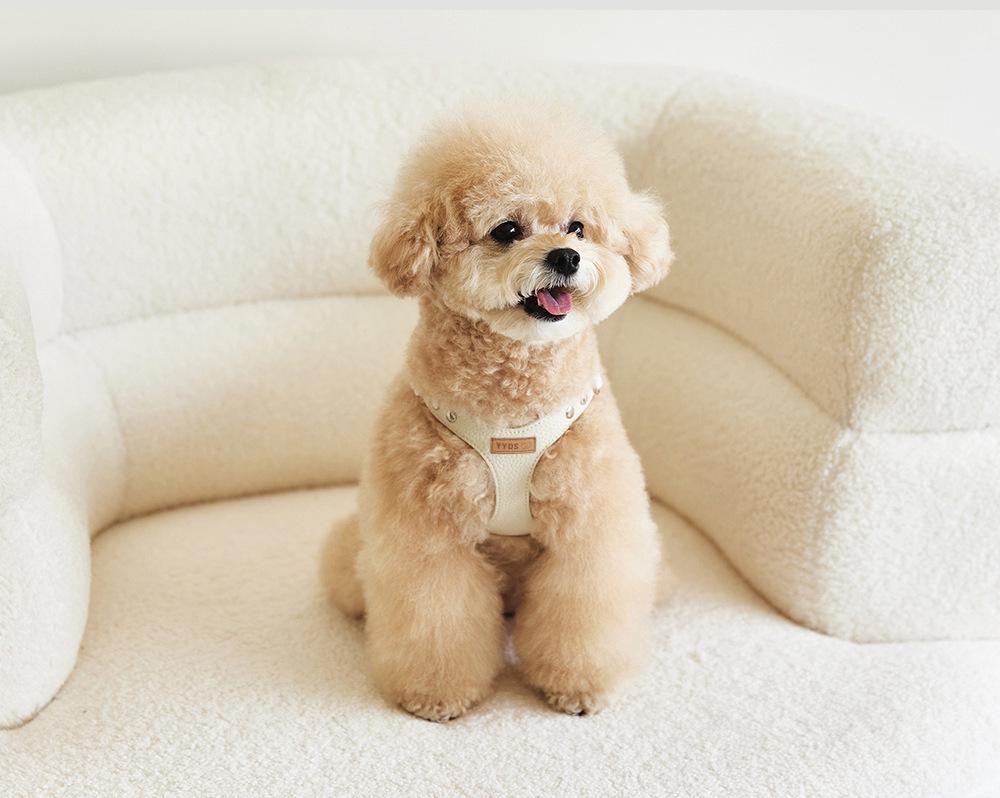 Korean Small Dog PU Leather Harness & Leash for Teddy Bichon
