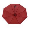 YuZhan Automatic Folding Sun/Rain Umbrella