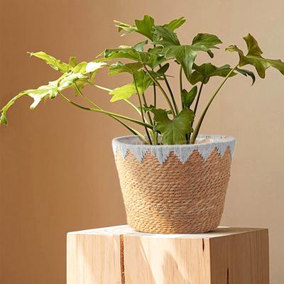 1PC Handmade Wicker Rattan Gewebt Stroh Weben Blumentopf Blumentöpfe Korb Pflanzer Garten
