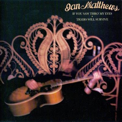 CD IAIN MATTHEWS - If You Saw Thro' My Eyes / Tigers W 5141672 Vertigo 1993 UK Rock Used