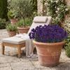 4PCS UV Resistant Artificial Silk Pansy Flowers Outdoor Spring Flowers Pansies Wildflower Plants Faux Impatiens White