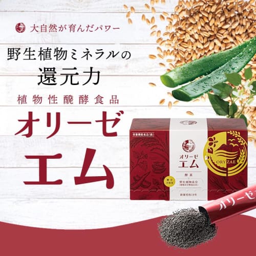 Oryze M, a fermented vegetable food