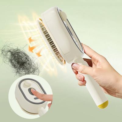 Electric Steam Hair Brush Reduce Frizz with Water Spray Anti-Static Misting Hairbrush Portable Travel Cordless