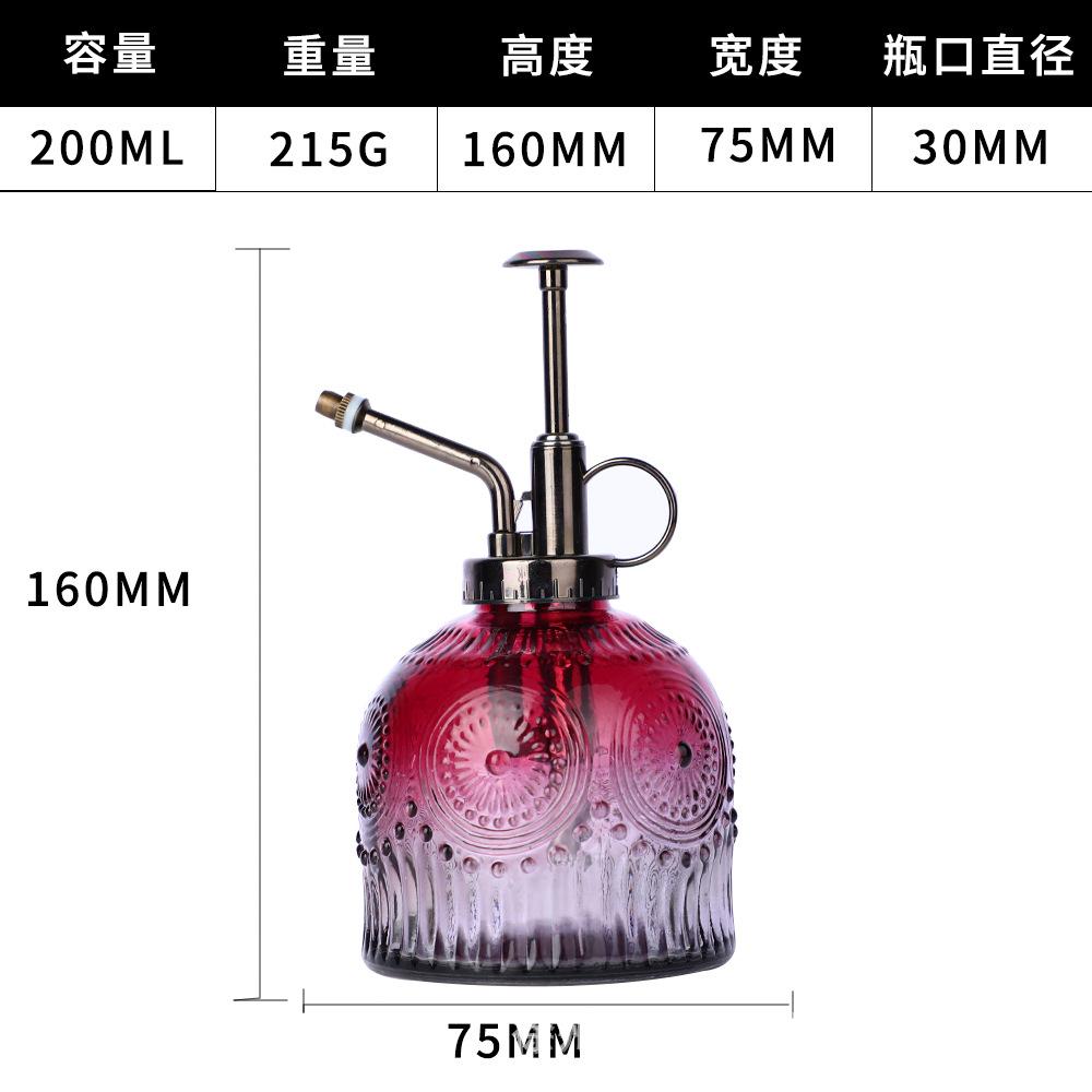 European Colorful Embossed Glass Watering Can Home Gardening Watering Sprinkler Kettle Succulent Plant Spray Can Gardening Decor