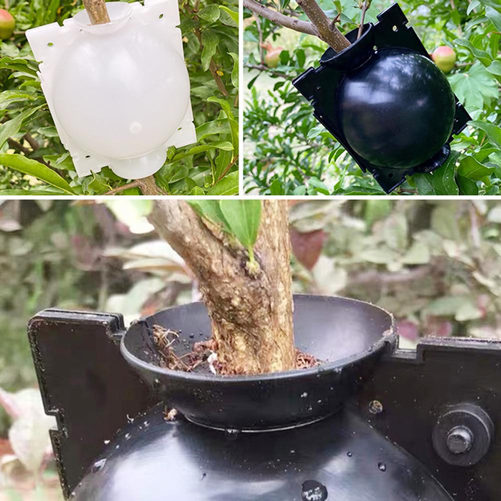 Ausrüstung zum Bewurzeln von Pflanzen, Luftschichtung, Hochdruck-Vermehrungsball, Pfropfbox-Zucht für Garten-Pfropfbox-Setzlinge