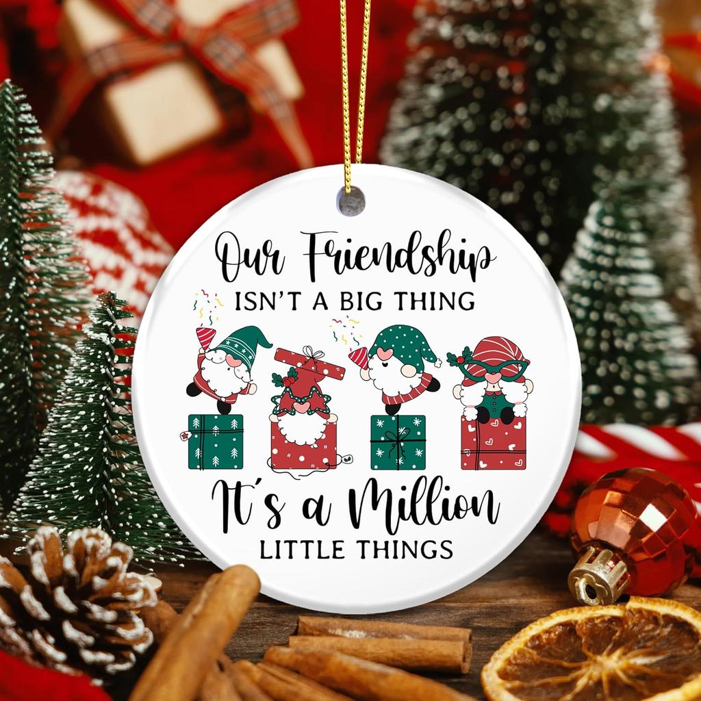 Friendship Ornament 2025 – Funny Best Friend Ornament, Gnome Gift Exchange – Our Friendship Isn’t a Big Thing, It’s a Million Little Things