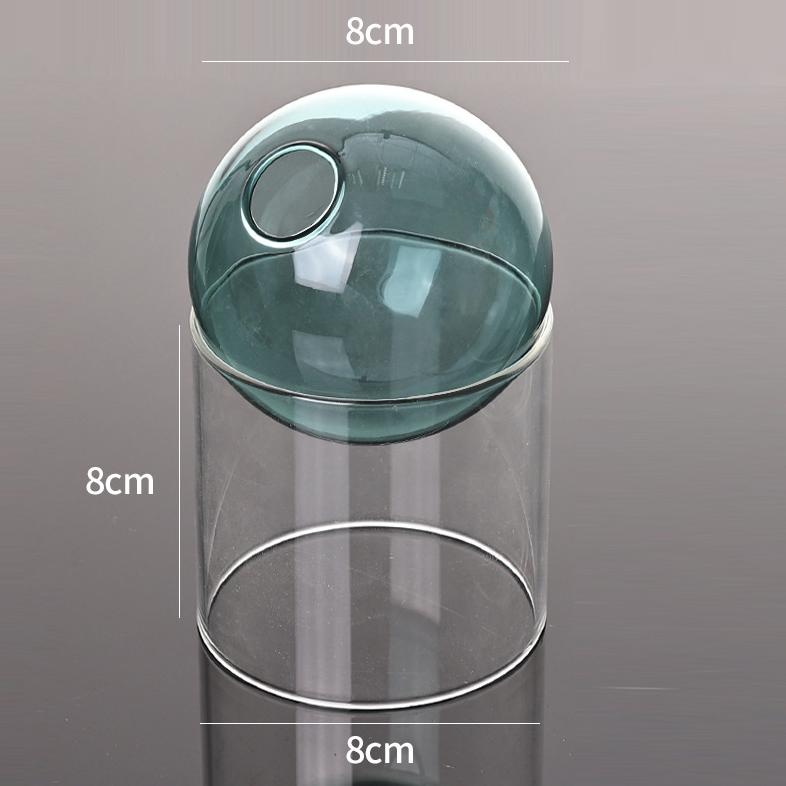Vintage Round Glass Vase Borosilicate Mini Terrarium Stylish Water Plant Pot for Desktop Home Decor And Flower Arrangement