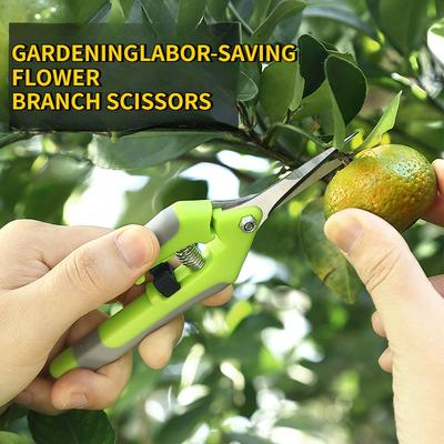 Garden Stainless Steel Flower Scissors Pruning Fruit Pruning Grape Pruning Straight Head Gardening Scissors Pruning Flowers