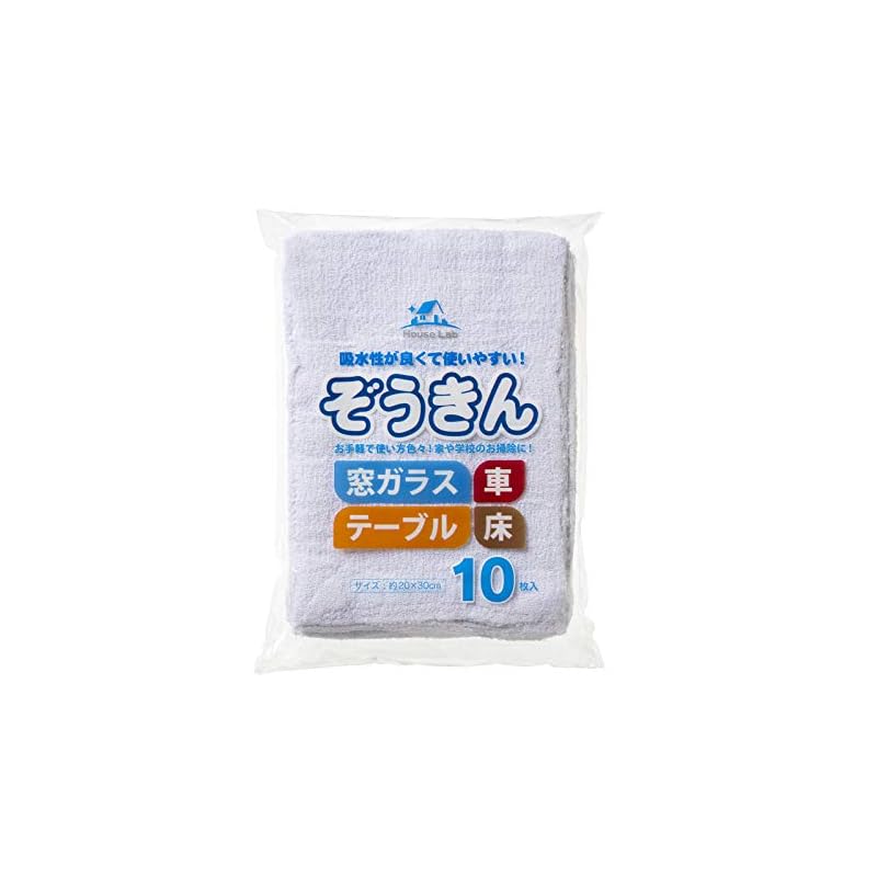 Addgood HouseLab Cleaning Cloths (10 Pieces) for Glass
