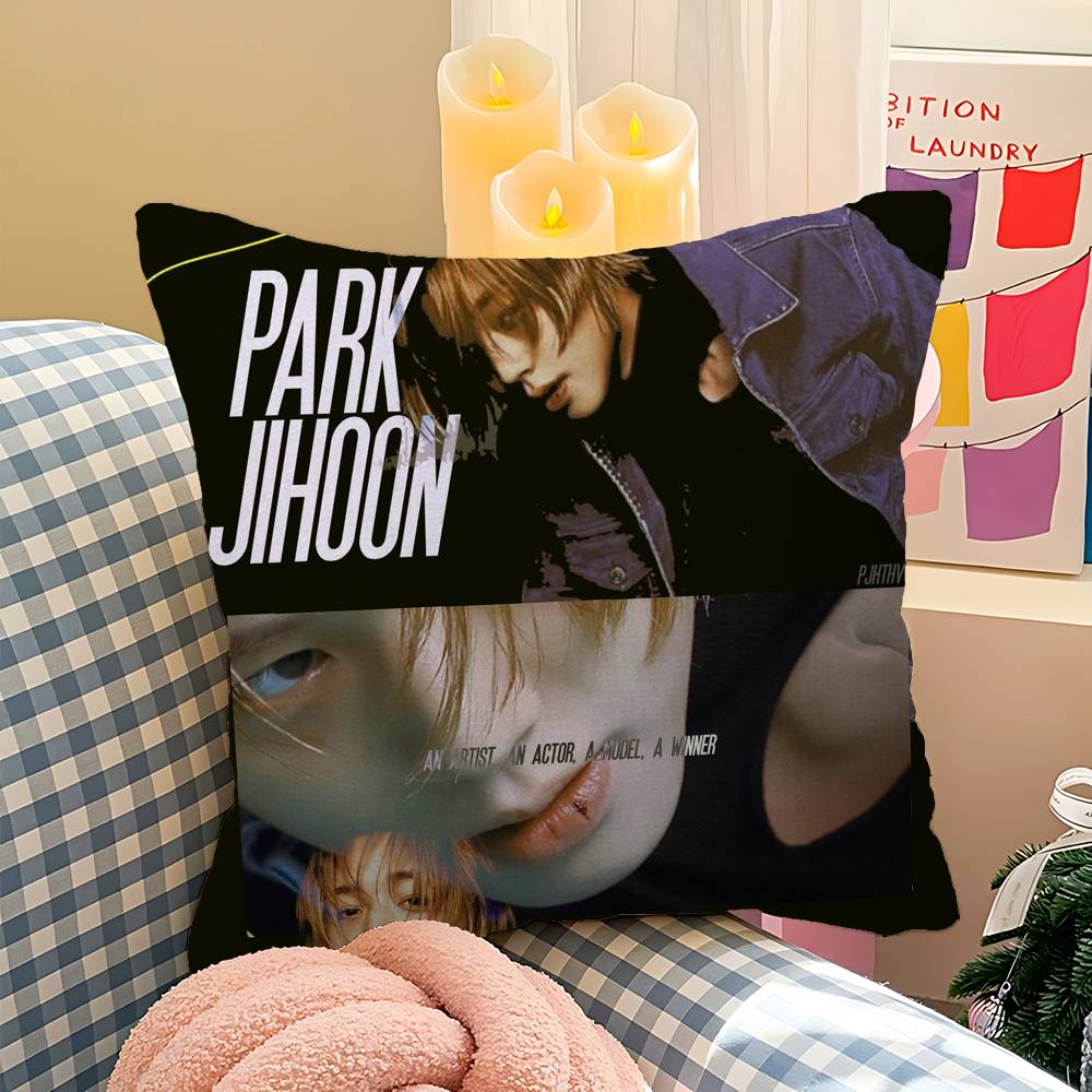 Korean P-PARK JI HOON Cushion Cover Pillowcase Upholstery Sofa Throw Pillow Home Decor Pillowcas