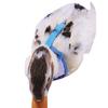 Rabbit Harness and Leash Small Animal Clothes for Rabbit Duck Small Animal