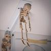 Poseable Skeleton Refrigerator Magnet Halloween Skeleton Figurine with Movable Joints Articulated Gothic Skeleton Magnetic Fridge Decoration Ornament