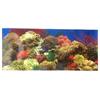 Aquarium Hintergrundrolle (19"x50ft)