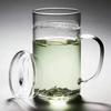 Heat-Resistant Glass Tea Cup with Infuser