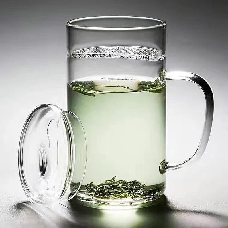 Heat-Resistant Glass Tea Cup with Infuser