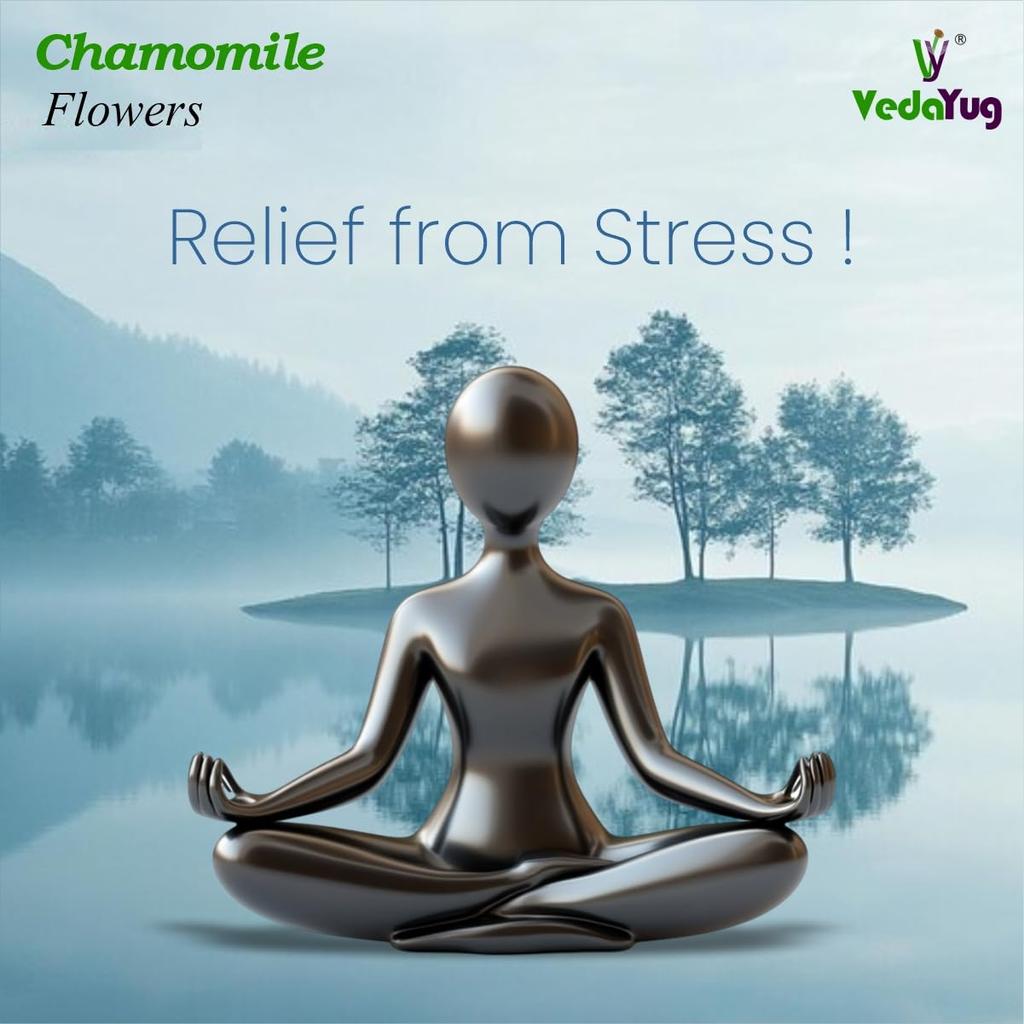 VY VedaYug Chamomile Flower Tea - 100gm | Pure Whole Flower Buds of Chamomile | Herbal Sleep Tea - Caffeine Free - Stress Relief - 100g