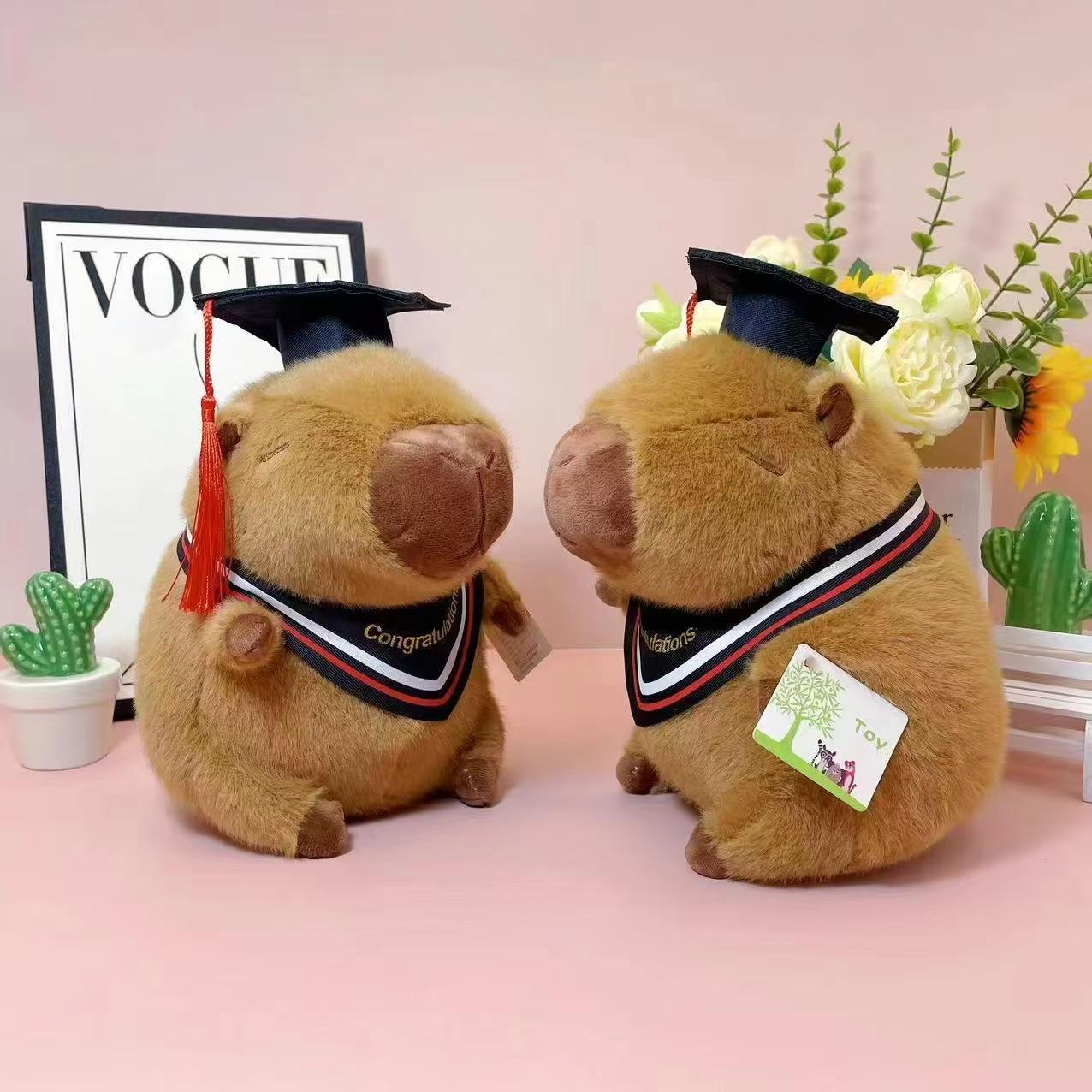 Bai Fen Bai Dolls And Toys Internet Celebrity Kapibara Turned Into Capybara Doll Cute Doctor Bachelor Capybara Plush Toy Student Graduation Gift