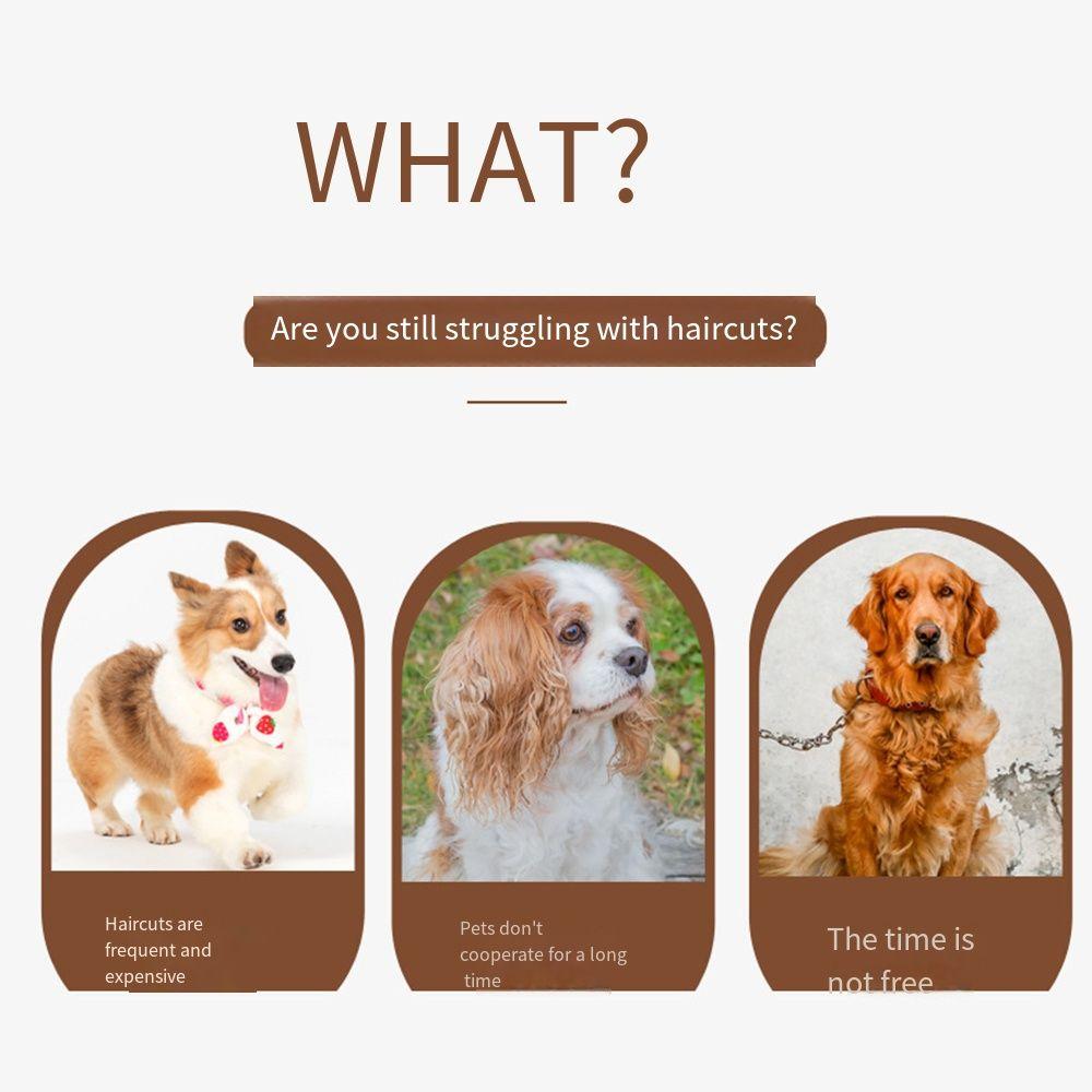 Professional Dog Grooming Scissors Black & Gold Pet Hair Grooming Scissor Thinning Pet Shears  Pet