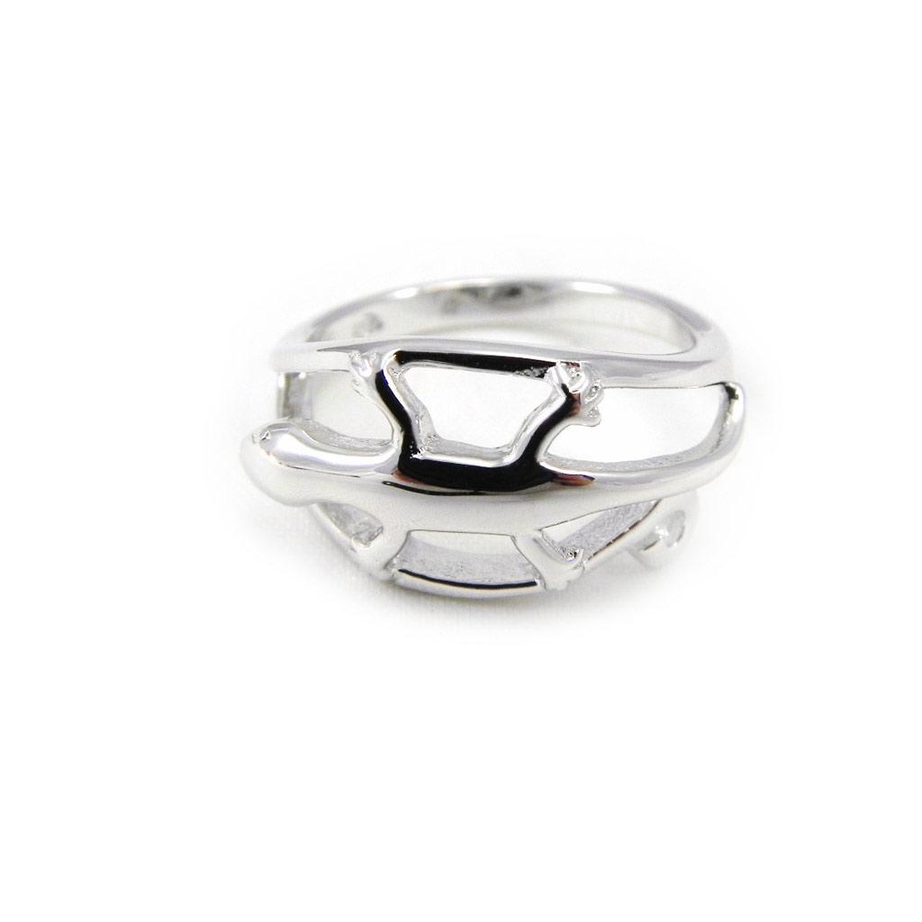 Stříbrný prsten 'Salamander'