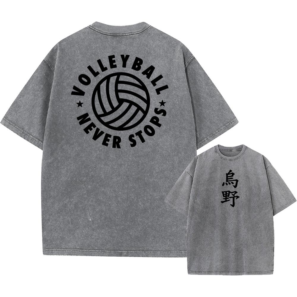 Anime Haikyuu!! Volleyball Hinata Shoyo Graphic Washed T Shirt Men Women Manga Tshirts Casual Loose T-shirt Harajuku Cotton Tops