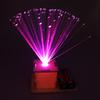 Colorful Fiber Optic Lights STEM Experiment Kit for Kids