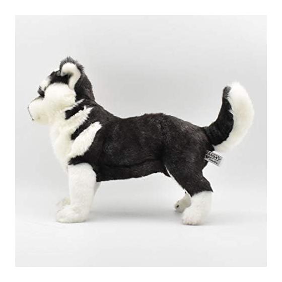 BH7512 HANSA Siberian Husky Pup 43