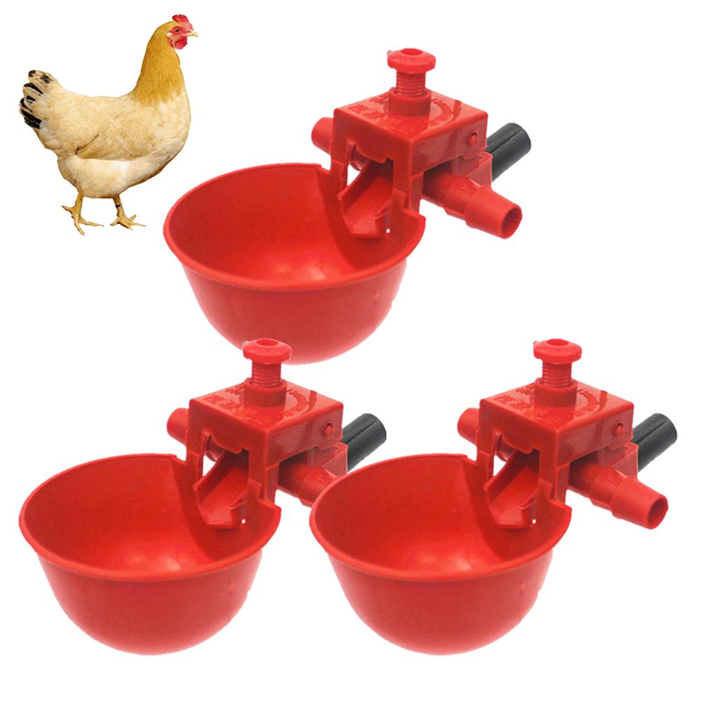 20 PCS Quail Drinker Poultry Water Drinking Cups Pigeon Chicken Fountain Stainless Steel