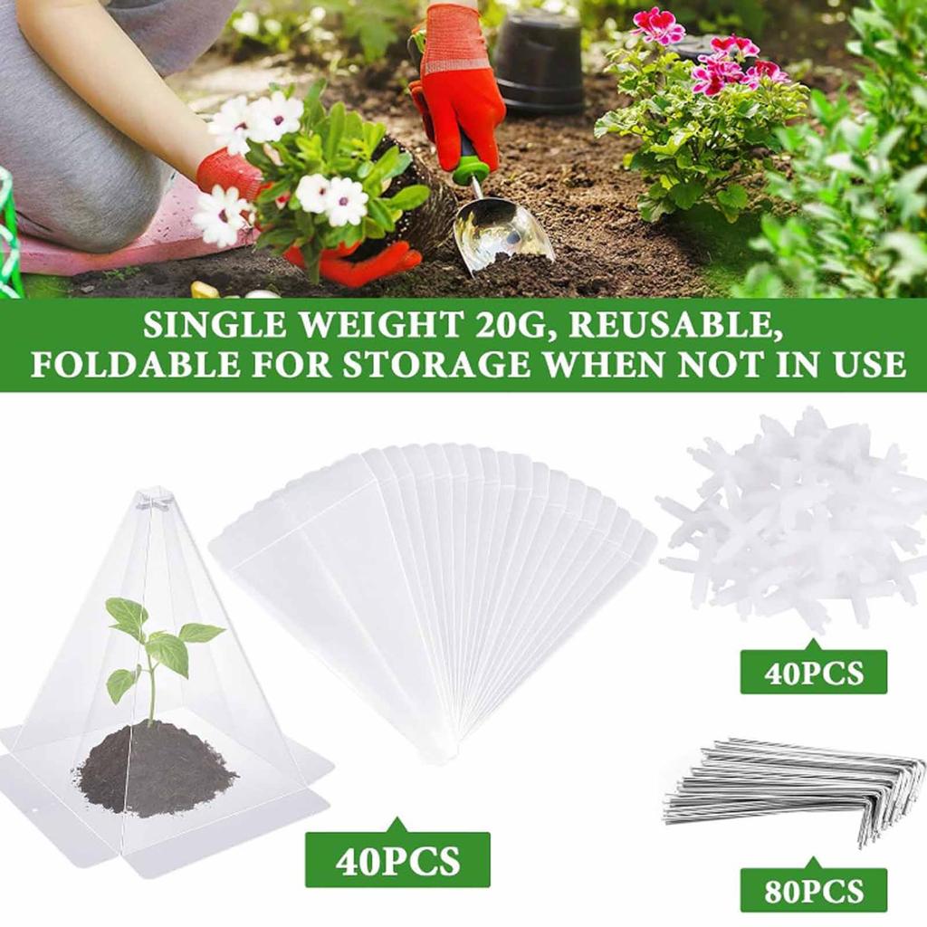 Conical Green Plant Bell Cover, Garden Seedling Protector, Frost and Bird Damage Prevention for Plants
