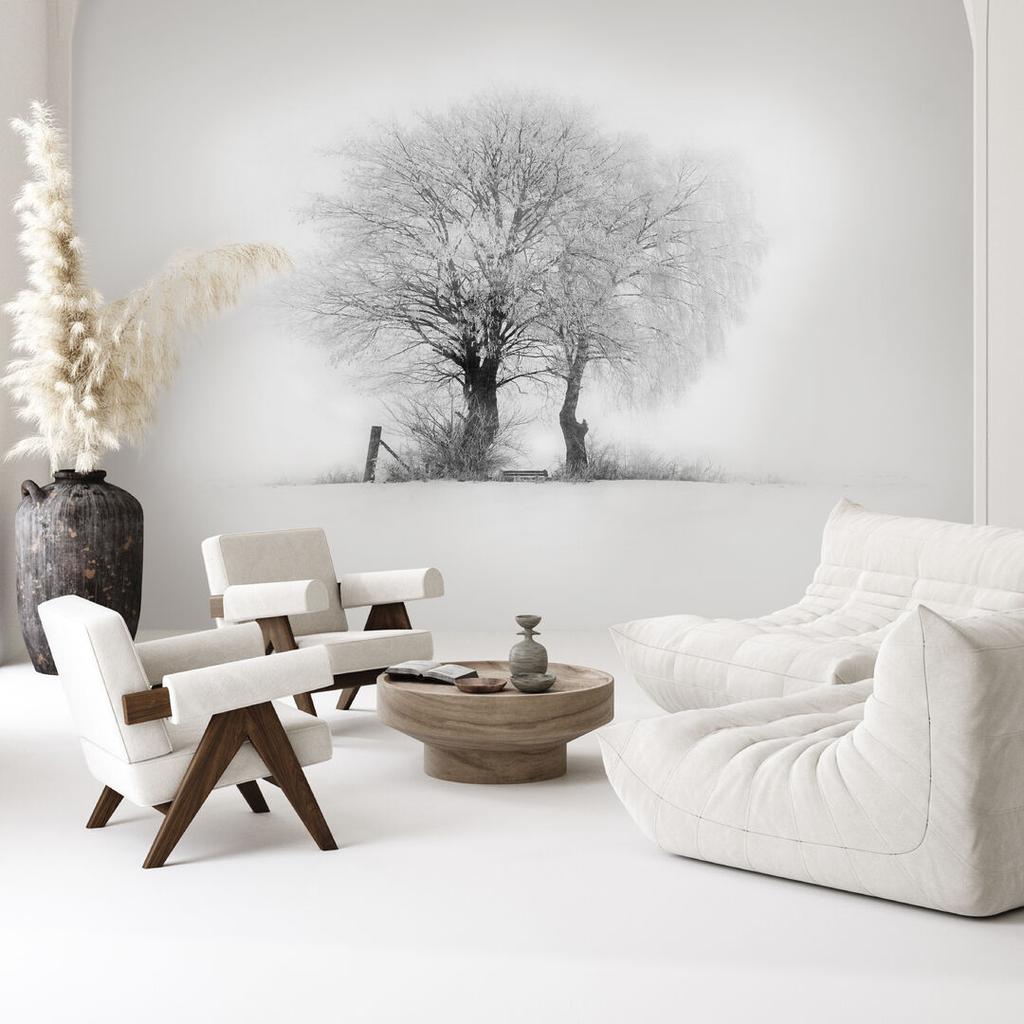 Fototapeta Flizelinowa Standard - 450 X 315 Cm - Styl Minimalistyczny - Natura