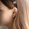 HDM023 Classic Small Hoop Earrings (2colors)