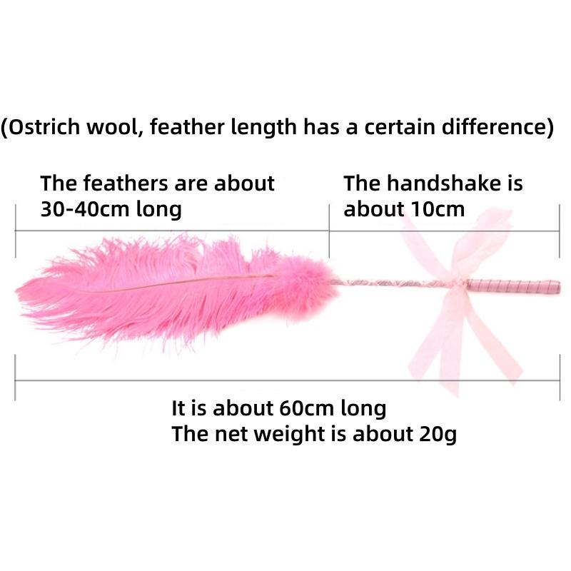 Sex toys sm props couples sex flirting stick feather racket tease stick tune alternative female character toys L648