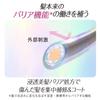 Essential The Beauty Hair Texture Refinement Barrier Treatment 200g Damage Repair Hair Care Moisturizing (Rinse-off type)
