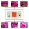 Hydroponice AC 220 V 20 W 30 W 50 W COB LED Pflanzenlampe Chip Vollspektrum 380 nm-780 nm für Zimmerpflanzen Sämlinge wachsen Blumen