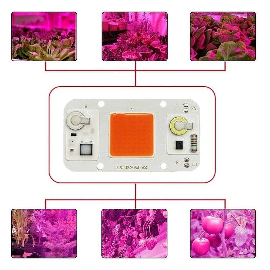 Hydroponice AC 220 V 20 W 30 W 50 W COB LED Pflanzenlampe Chip Vollspektrum 380 nm-780 nm für Zimmerpflanzen Sämlinge wachsen Blumen