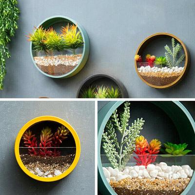 Round Wall Flower Basket Flower Pot Hanging Wall Hanging Orchid Basket Pot