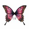 Colorful Cosplay Party Wings Creative Fairy Costume Wing Fairy Costume Elf Wings  Cosplay Costumes