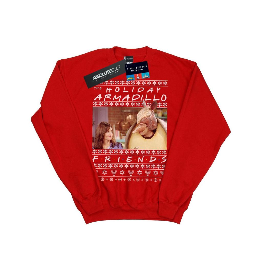 Friends Boys Fair Isle Holiday Armadillo Sweatshirt