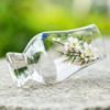 Transparent Glass Stemmed Glass Exquisite Tea Cup Glassware Cocktail Glass  Bar