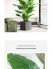 Luxurious Bionic Bird of Paradise: Large Artificial Indoor Floor Plant Decoration