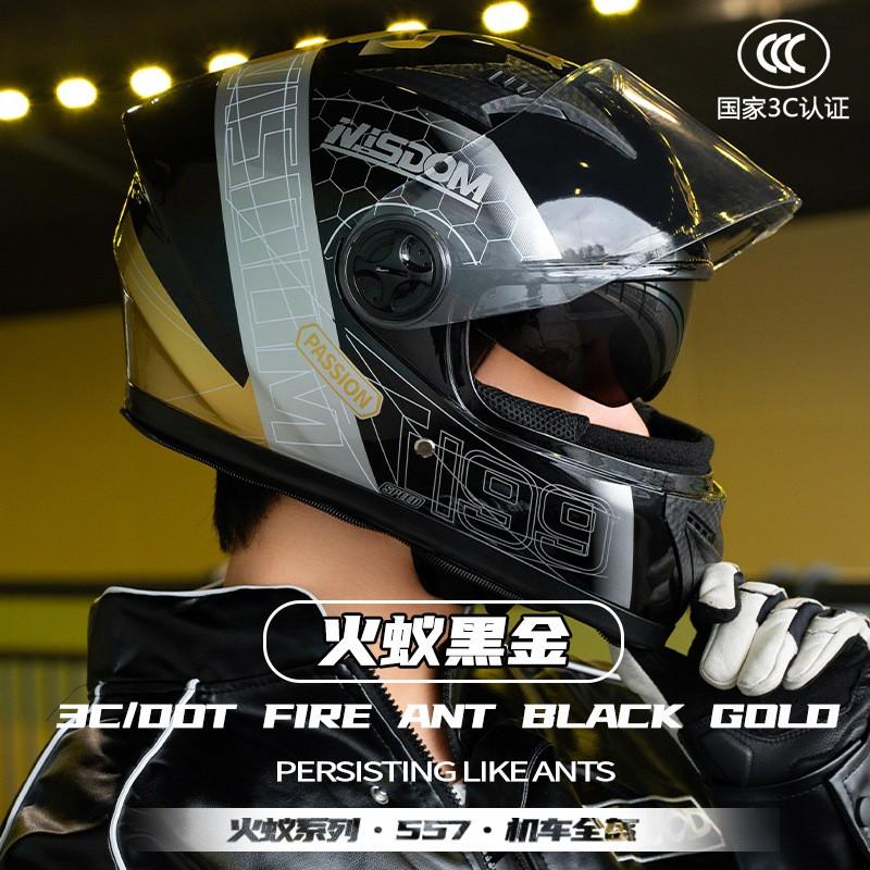 Full Face Motorcycle Helmet Adults DOT CCC Certified ABS Winter Warm Riding Electric Scooter Motorbike