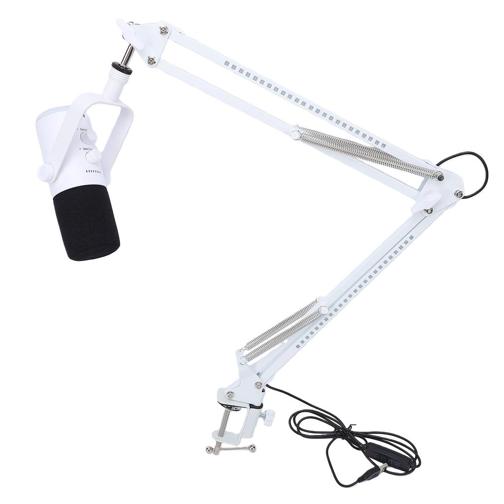 Gaming USB Microphone for PC Dynamic RGB Noise Cancellation Condenser Mic with Boom Arm for Strming Podcast