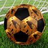 Elden Ring Indoor Soccer Ball Colorful Machine Stitched PVC Size 5 Team Training Competition Ready Durable High-Bounce Cool Sports Gift