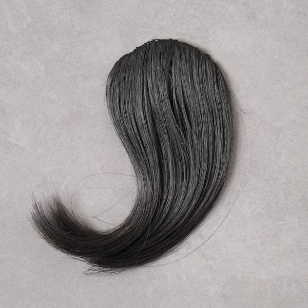 See-Through Bangs Wig